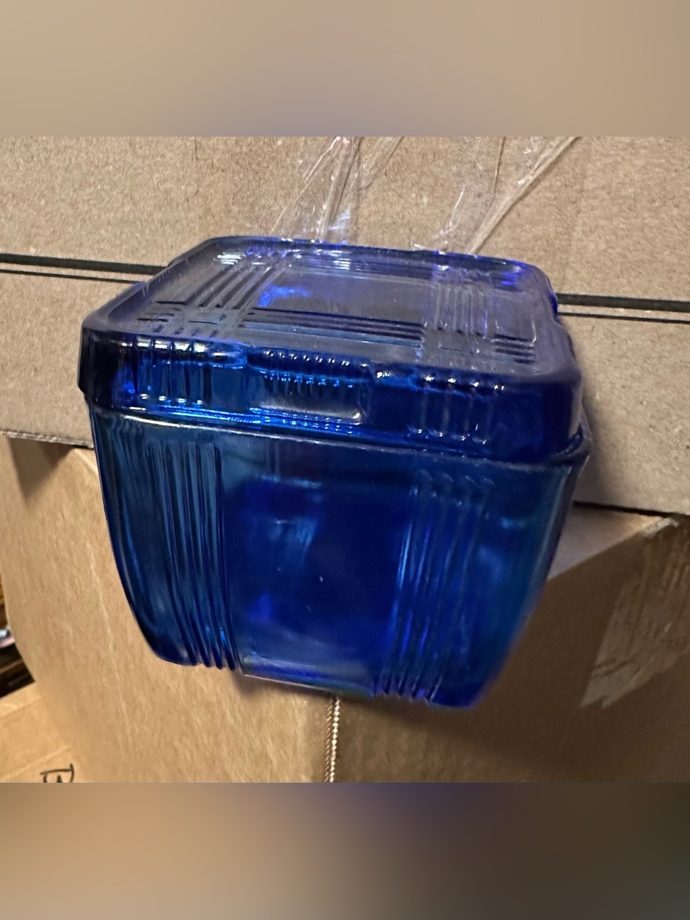 Cobalt Blue Refrigerator Dish